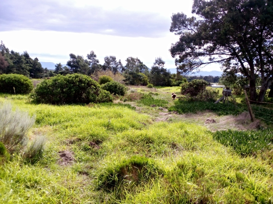 Bedroom Property for Sale in Albertinia Western Cape